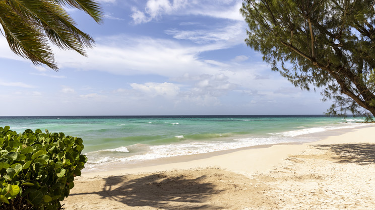 Turtle Beach Barbados A Tribute Portfolio All-Inclusive Resort